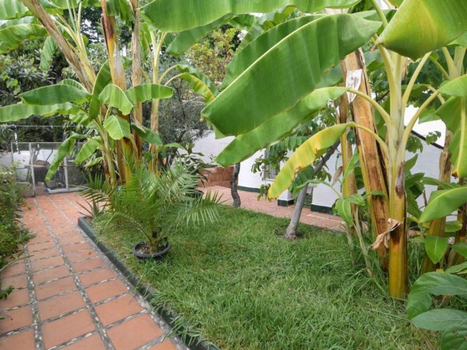 - Casa Vivi 12 Hébergement de vacances Nerja